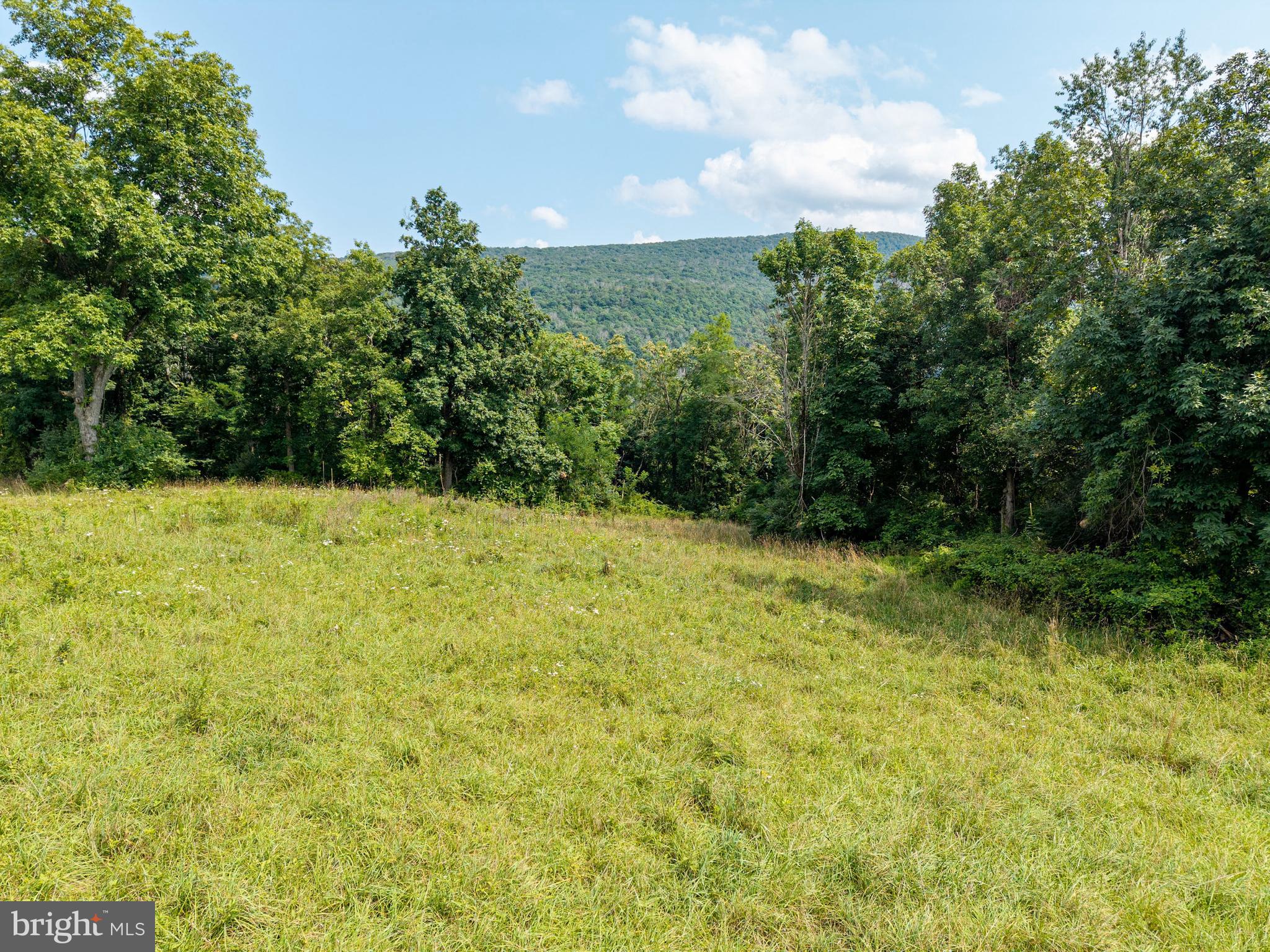 Park Line Road Stanley, VA 22851 - Photo 2 of 31 Gallery Image 2
