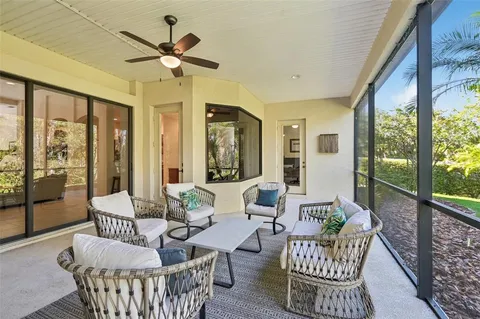 a view of a big yard with plants and large trees