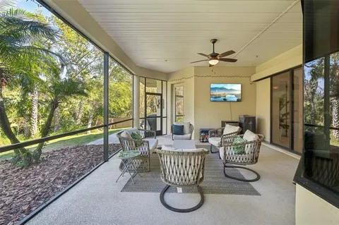 a view of a yard with plants and large trees