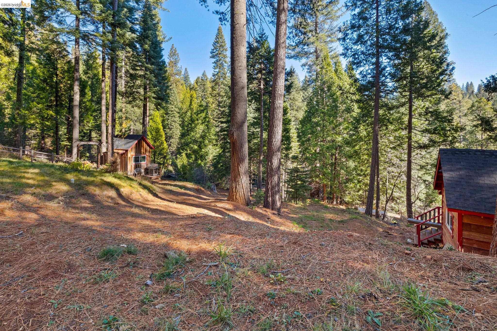 25777 Long Barn Sugar Pine Road Long Barn, CA 95335 - Photo 12 of 18 a view of backyard with trees