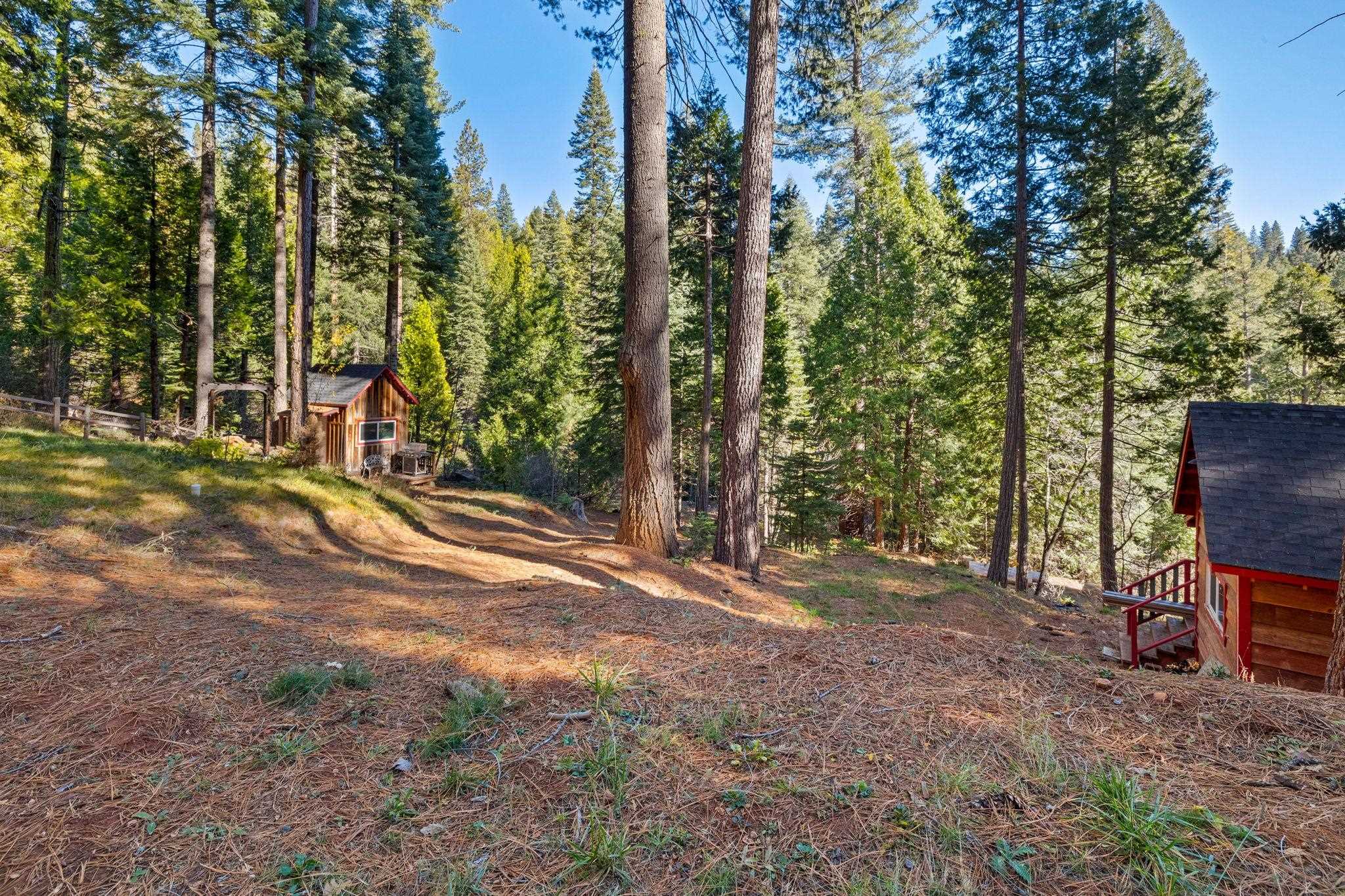 25777 Long Barn Sugar Pine Road Long Barn, CA 95335 - Photo 12 of 18 a view of backyard with trees