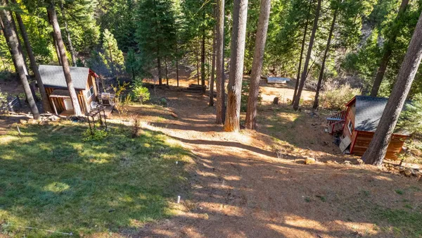 a view of a yard with plants and trees
