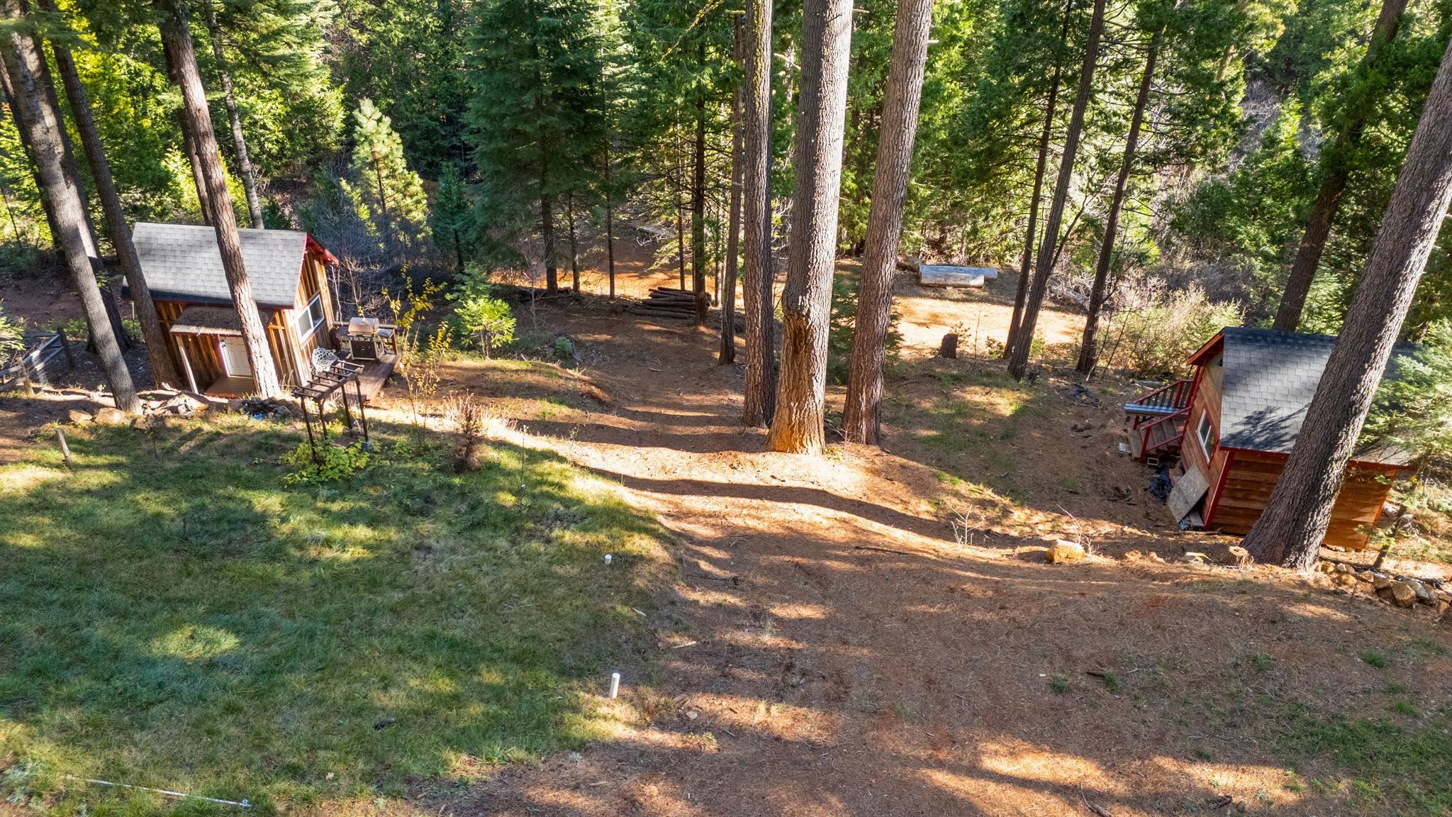 25777 Long Barn Sugar Pine Road Long Barn, CA 95335 - Photo 15 of 18 a view of a yard with plants and trees