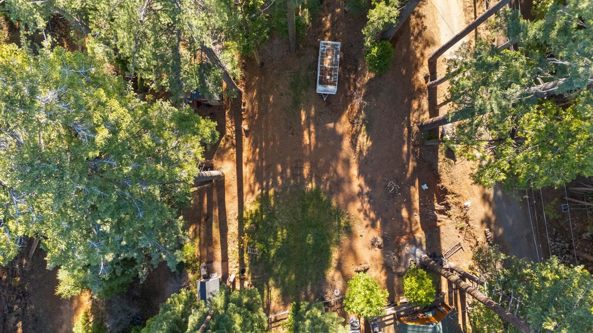 25777 Long Barn Sugar Pine Road Long Barn, CA 95335 - Photo 18 of 18 a view of forest