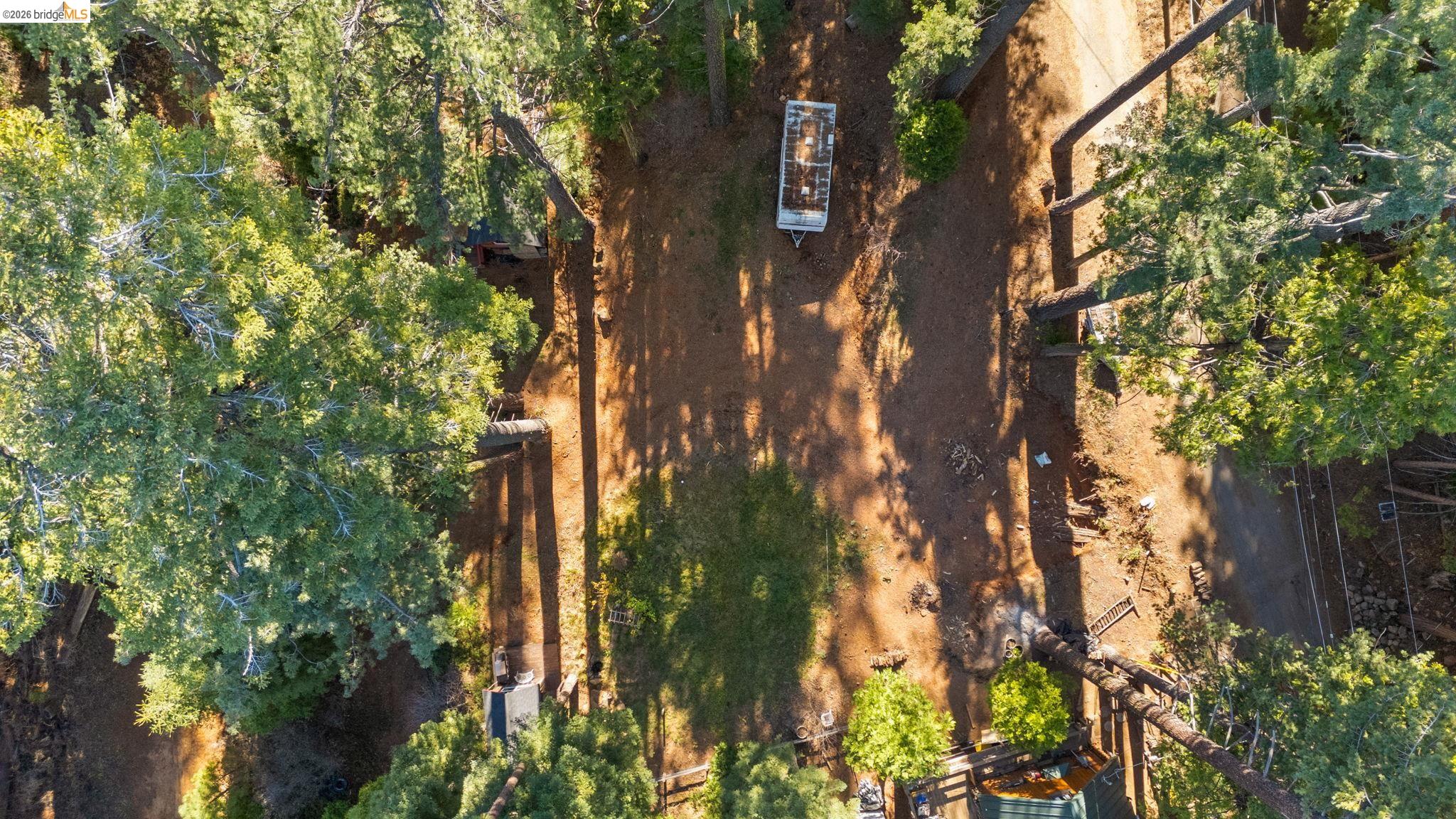 25777 Long Barn Sugar Pine Road Long Barn, CA 95335 - Photo 18 of 18 a view of forest