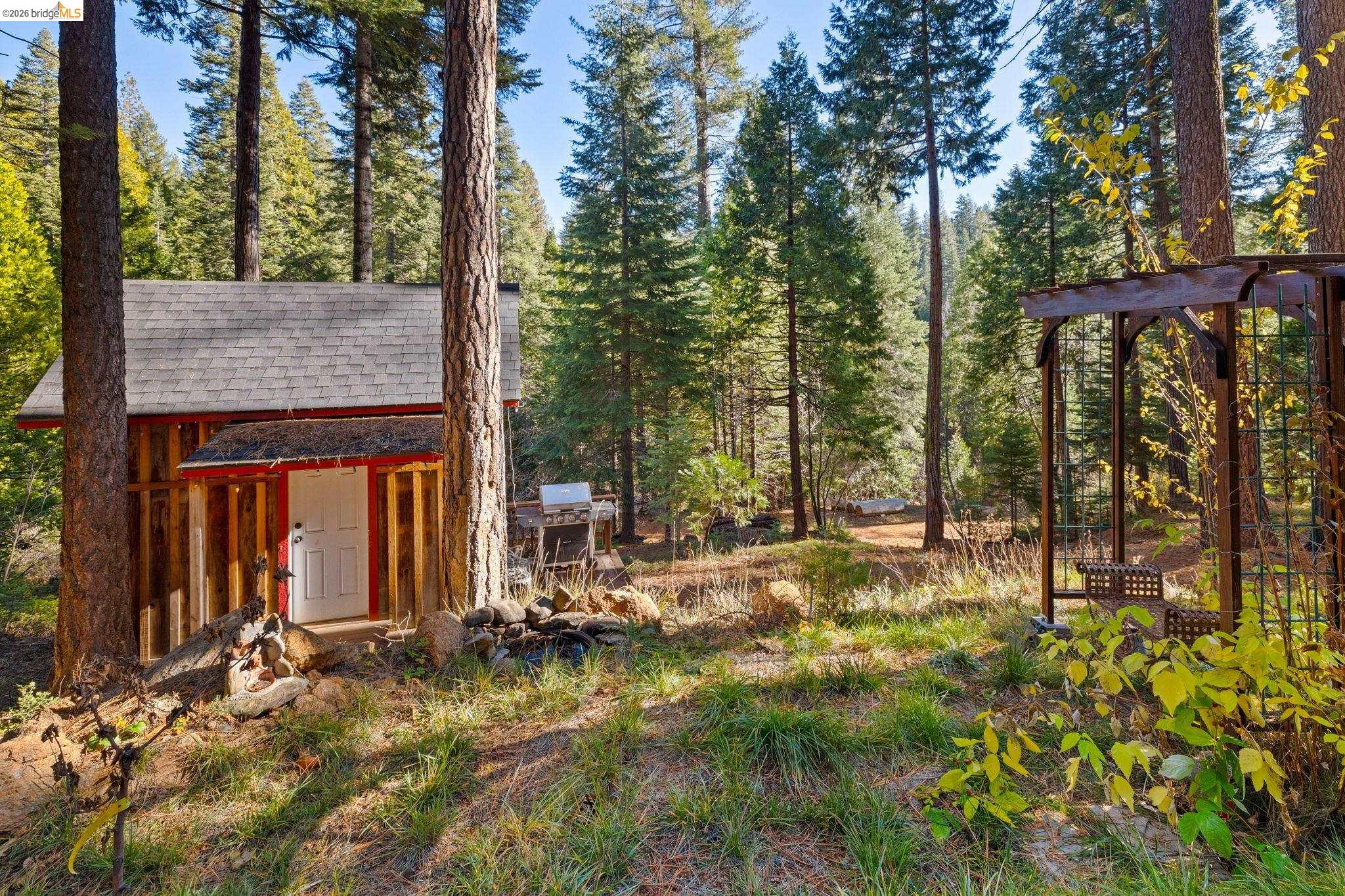 25777 Long Barn Sugar Pine Road Long Barn, CA 95335 - Photo 4 of 18 a view of swimming pool with a patio
