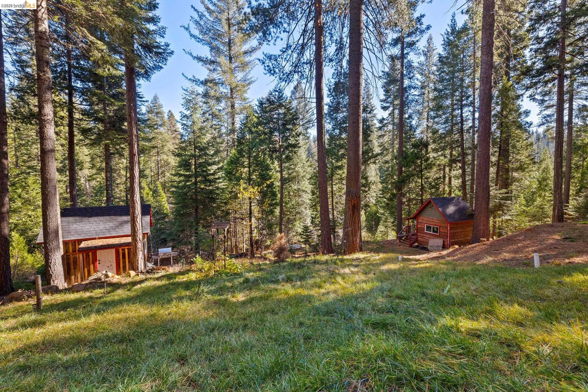 25777 Long Barn Sugar Pine Road Long Barn, CA 95335 - Photo 5 of 18 a view of a chairs in a backyard