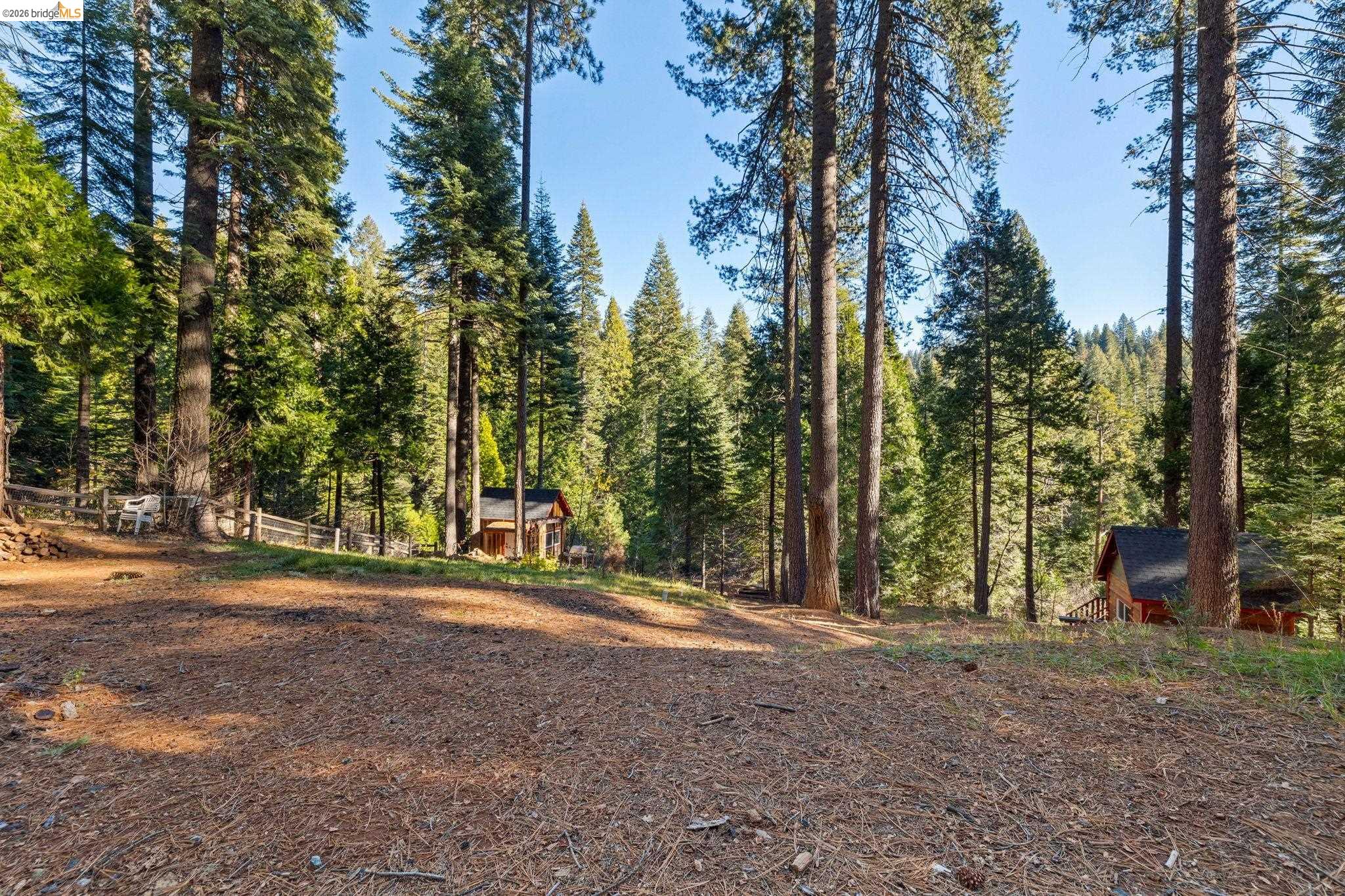 25777 Long Barn Sugar Pine Road Long Barn, CA 95335 - Photo 6 of 18 a view of outdoor space with trees