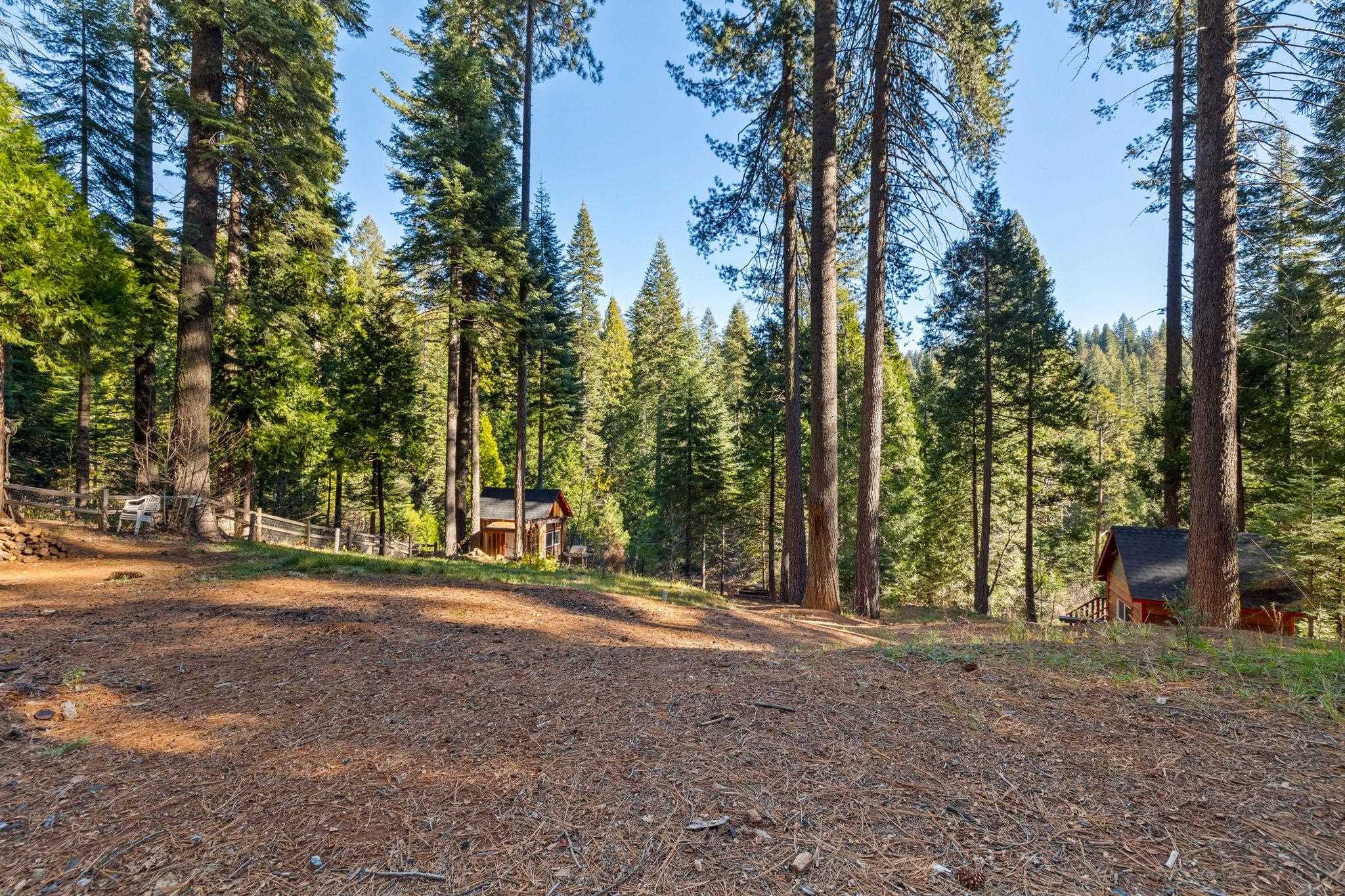 25777 Long Barn Sugar Pine Road Long Barn, CA 95335 - Photo 6 of 18 a view of outdoor space with trees
