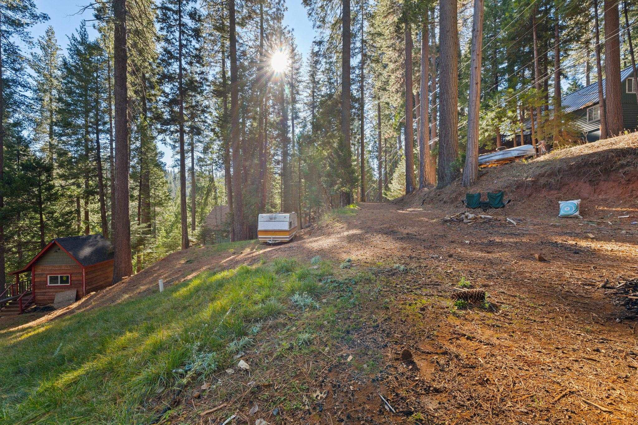 25777 Long Barn Sugar Pine Road Long Barn, CA 95335 - Photo 10 of 18 a view of a tree in the middle of a yard