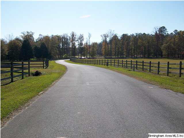 Meadow Lake, Unit 2A Calera, AL 35040 - Photo 2 of 9
