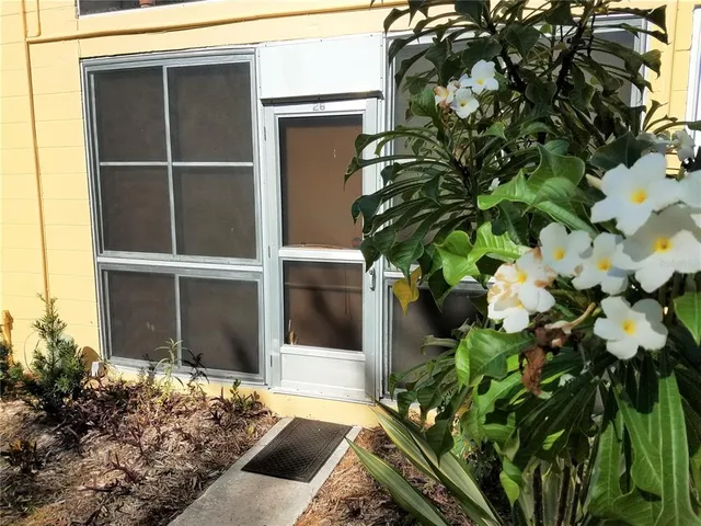 a view of a palm trees in a yard