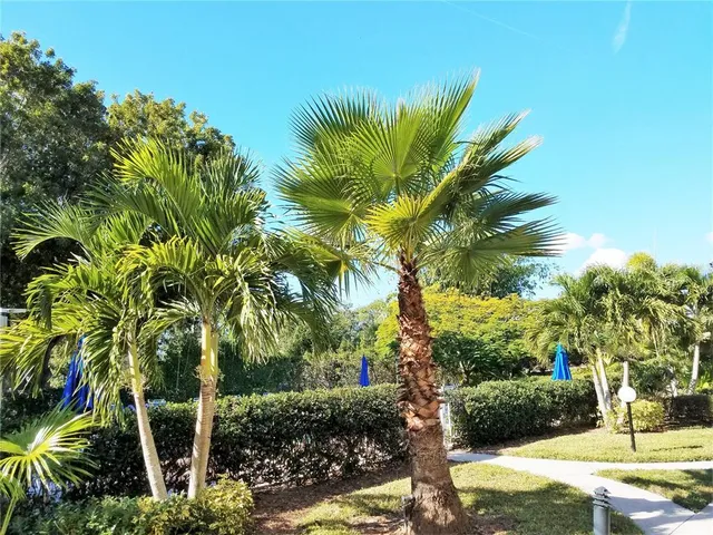 a view of swimming pool with outdoor seating and plants