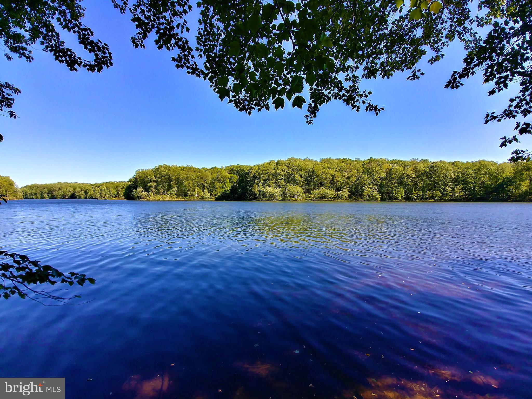 11710 Clopper Road Gaithersburg, MD 20878 - Photo 74 of 75 Gallery Image 74