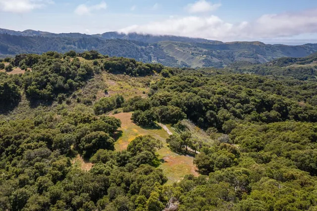 a view of a lush green hillside and houses