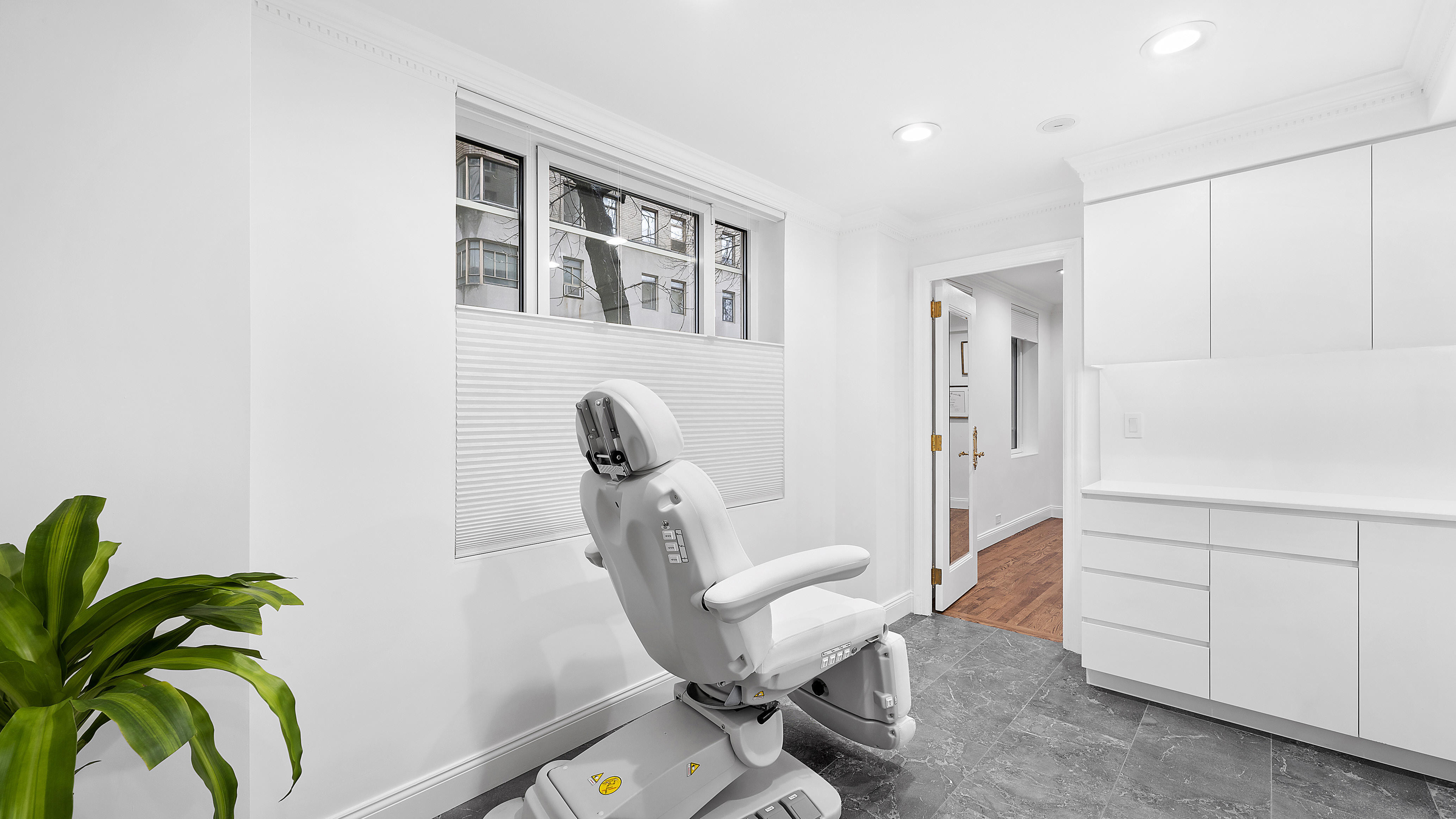 880 5th Avenue, Unit 1H Manhattan, NY 10021 - Photo 3 of 8 a living room with furniture and a potted plant