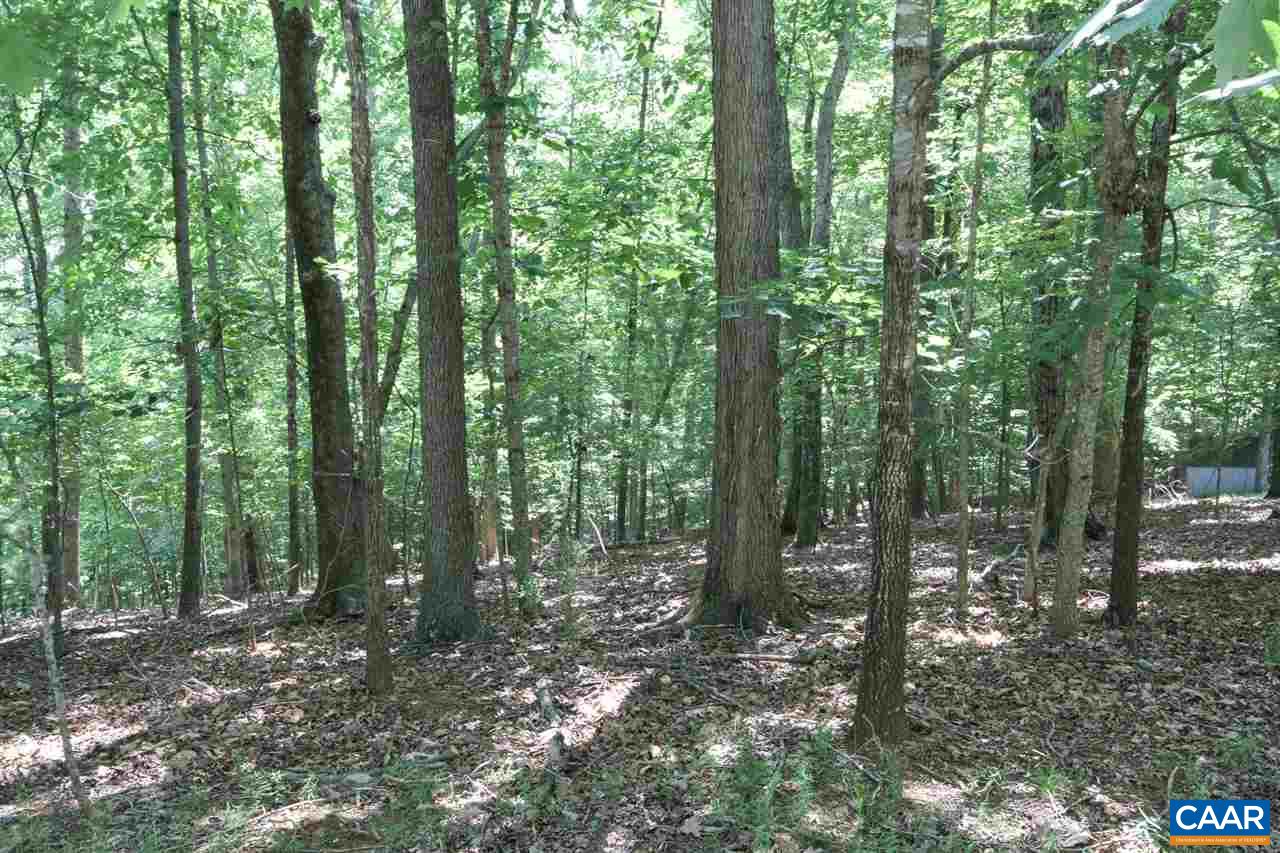 9 Bonita Road Palmyra, VA 22963 - Photo 1 of 4 a view of outdoor space and green space