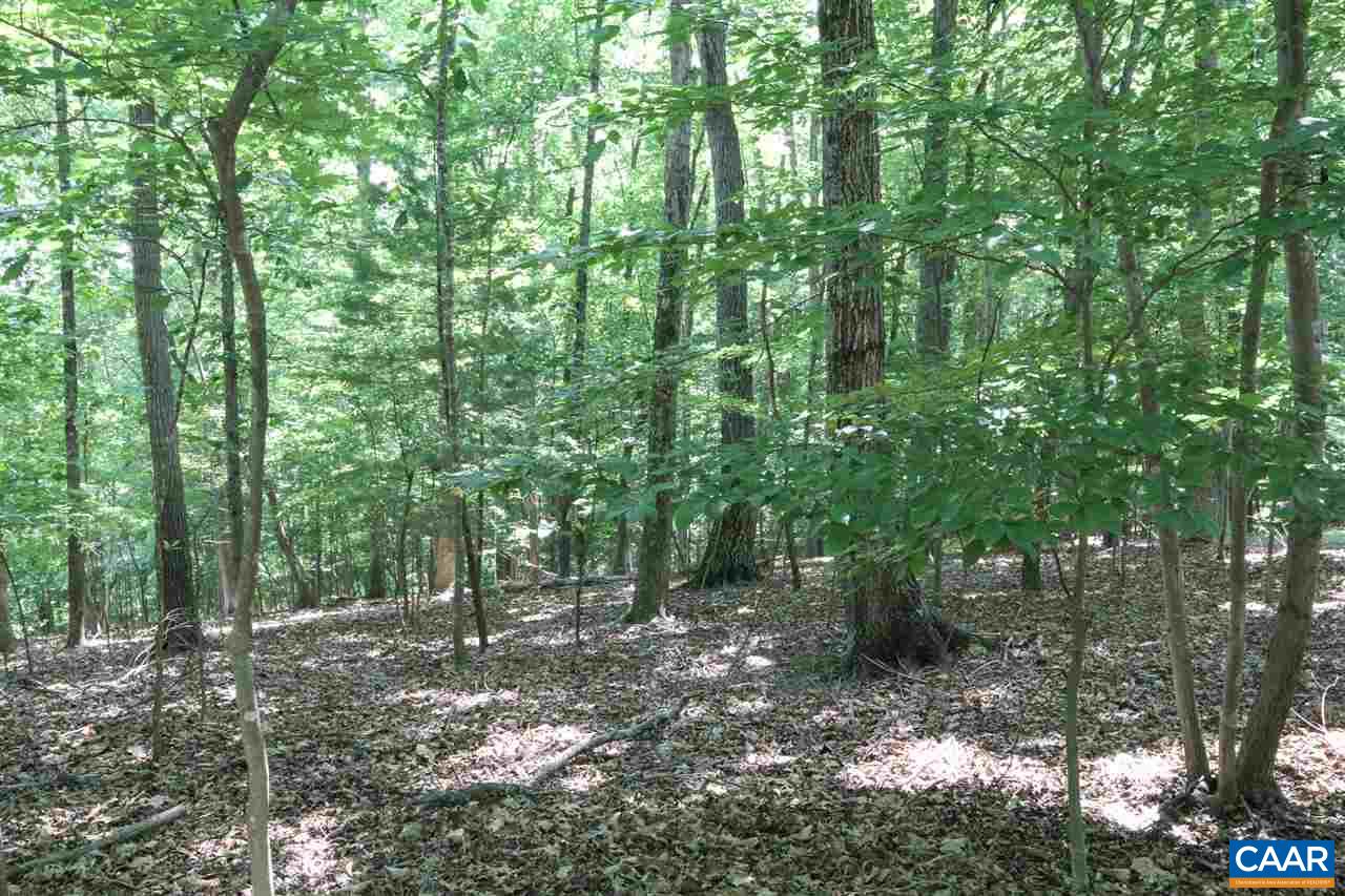 9 Bonita Road Palmyra, VA 22963 - Photo 2 of 4 a view of forest
