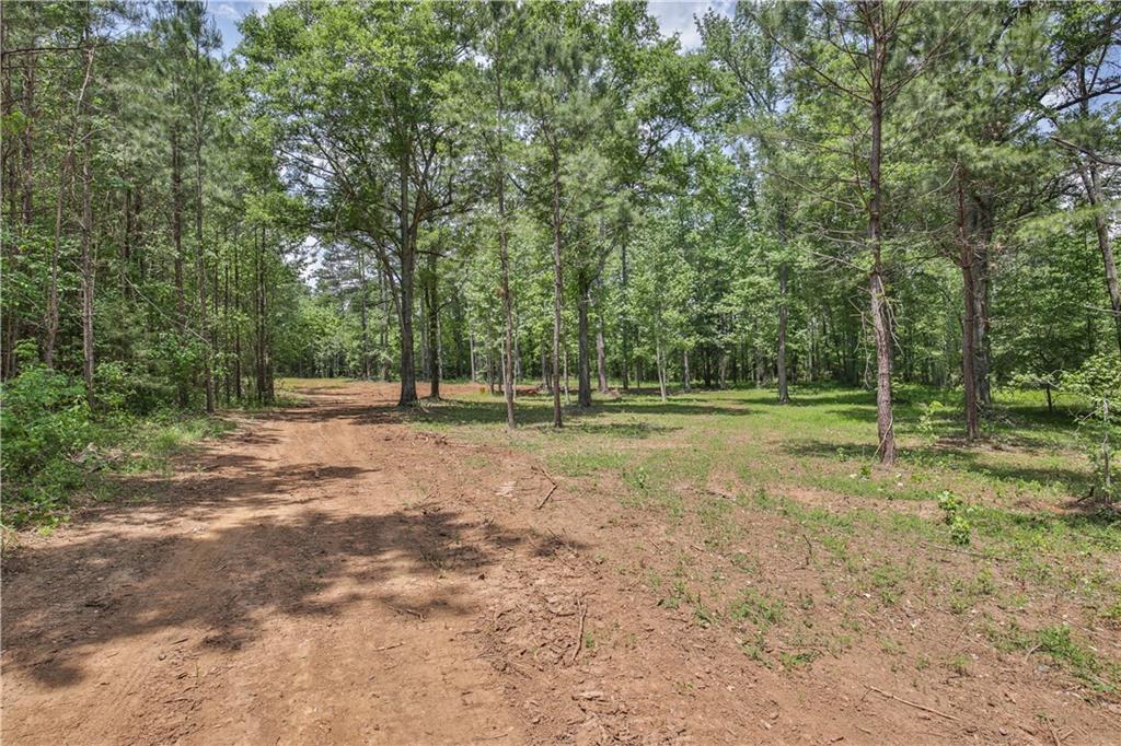 0 Luther Adams Road Monroe, GA 30656 - Photo 1 of 1