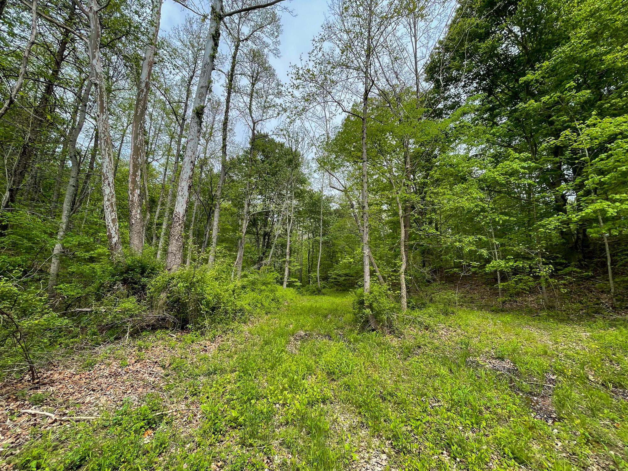 638 Sam Jones Road Wheelersburg, OH 45694 - Photo 5 of 17 IMG_6102