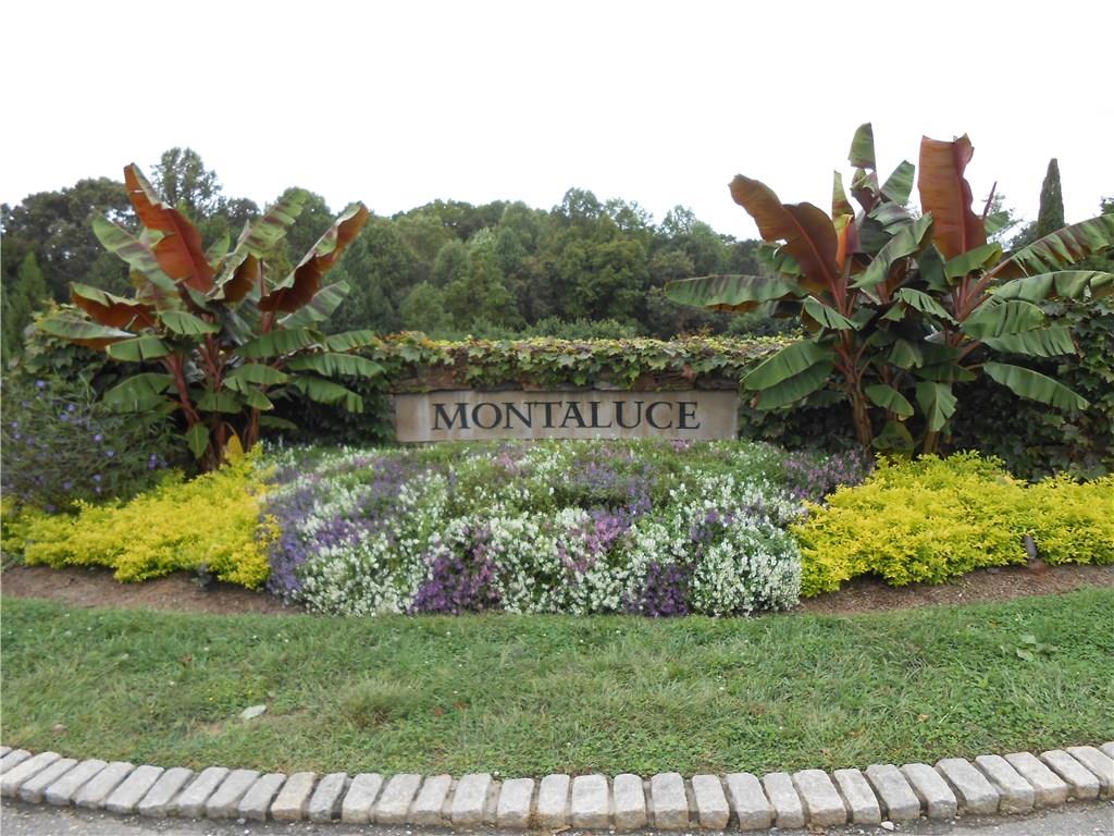 MONTALUCE IS A VINEYARD COMMUNITY IN THE NORTH GA WINE REGION "THE DAHLONEGA PLATEAU"