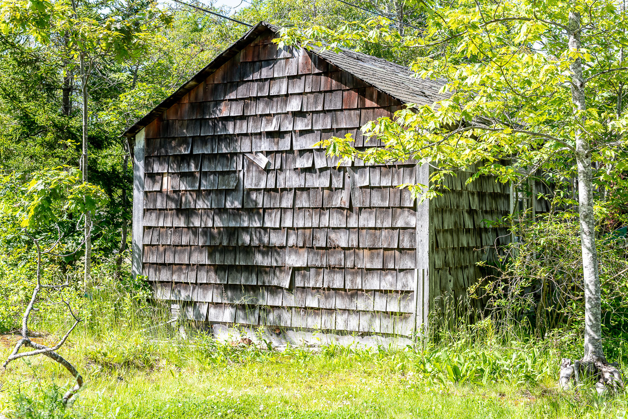 93 Oakhurst Island Road Harpswell, ME 04079 - Photo 30 of 39 DSC_0225