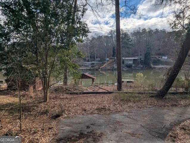 a view of a park with a tree