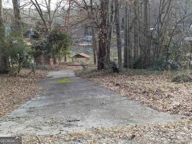 a view of a yard with a tree