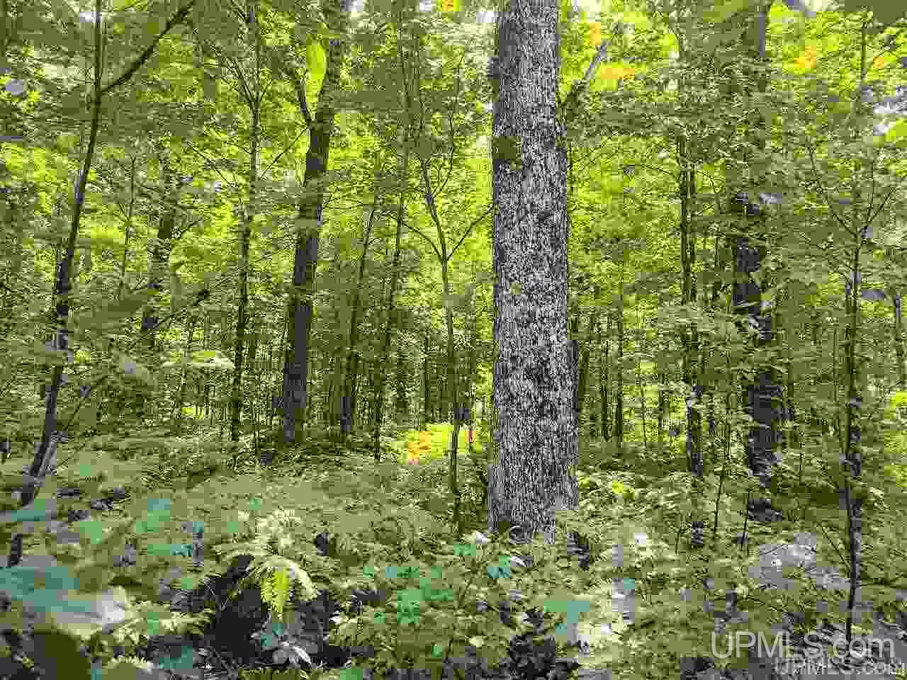 Tbd Connors Road Iron River, MI 49935 - Photo 2 of 34