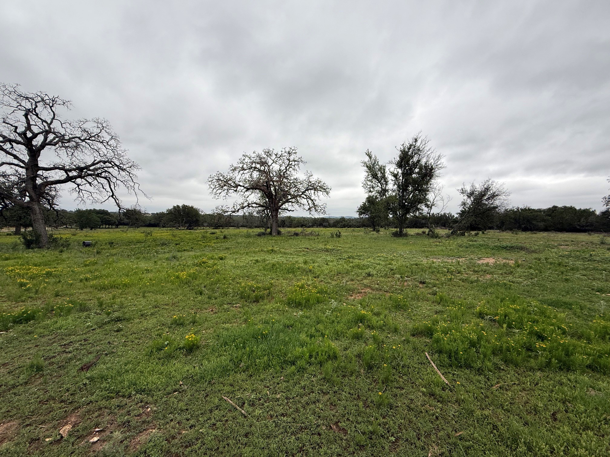 1399 Klett Ranch Road Johnson City, TX 78636 - Photo 2 of 2 Expansive green pasture with scattered mature trees and distant tree lines