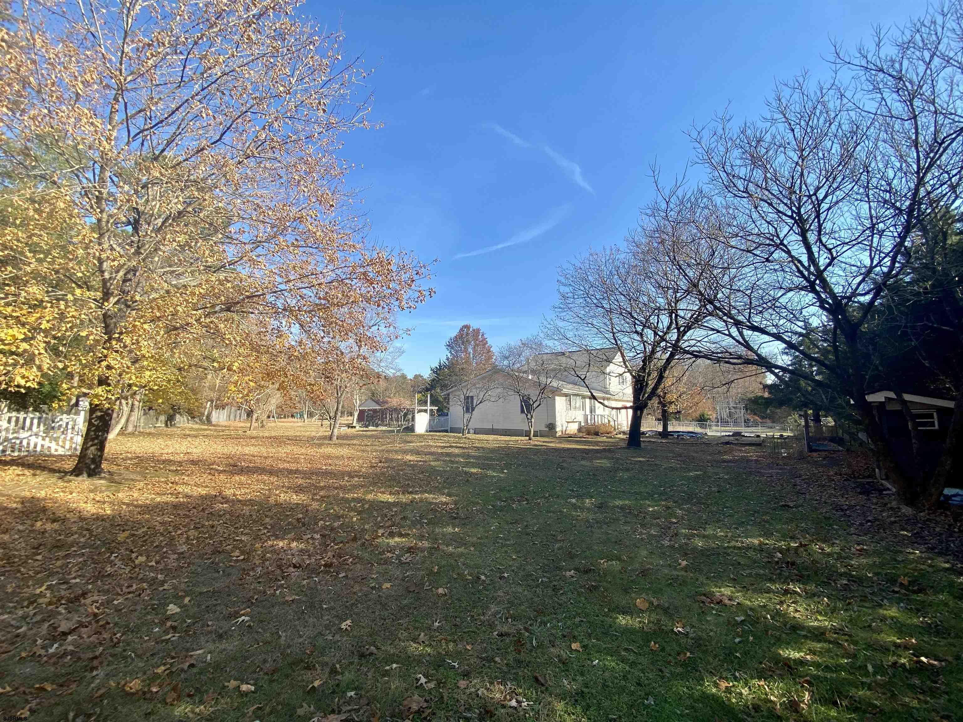 6705 Weymouth Road Mays Landing, NJ 08330 - Photo 6 of 38 a big yard with lots of green space and trees