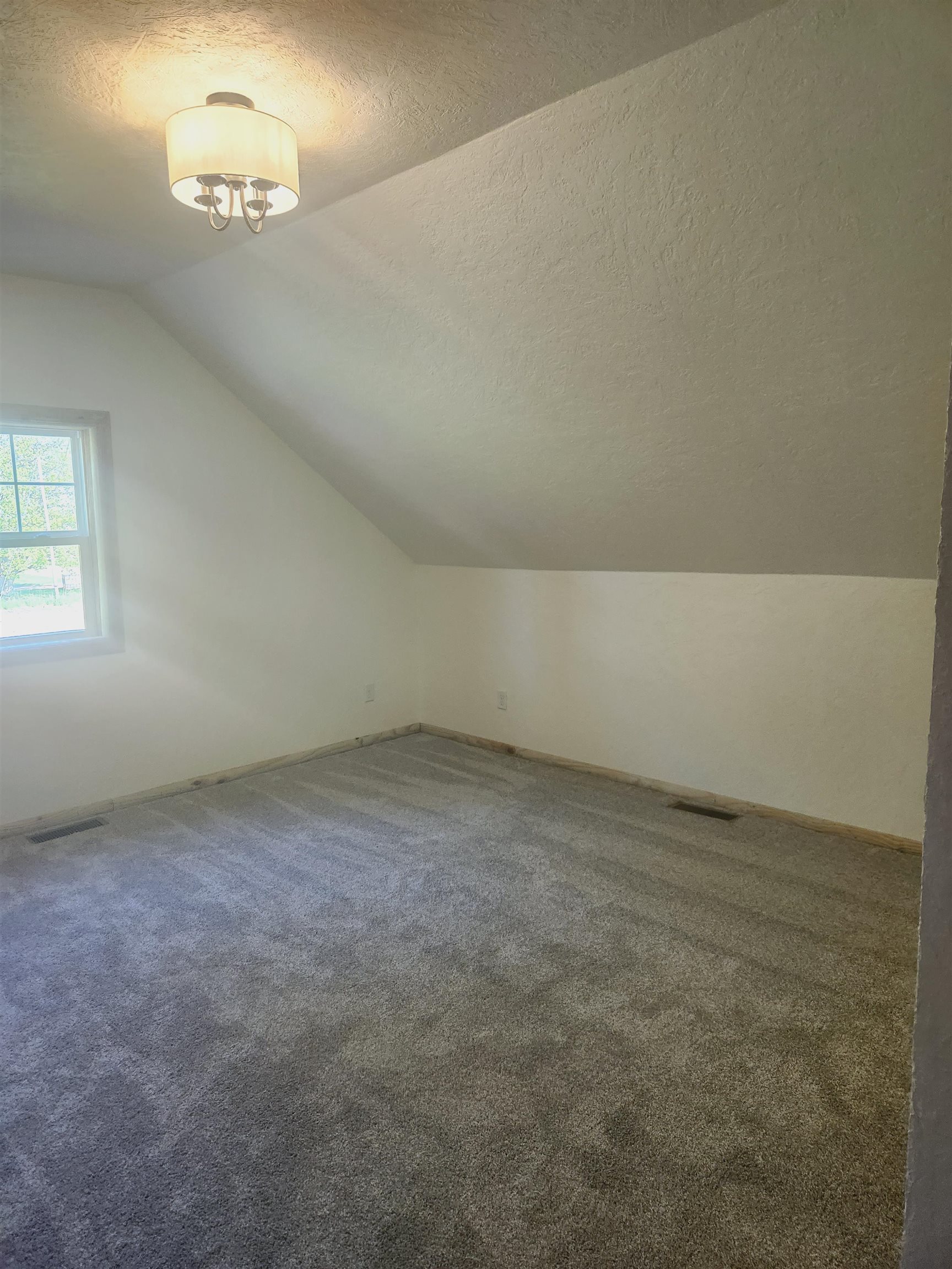 7223 East Tyler Road Breckenridge, MI 48615 - Photo 18 of 22 1910854-17.JPG