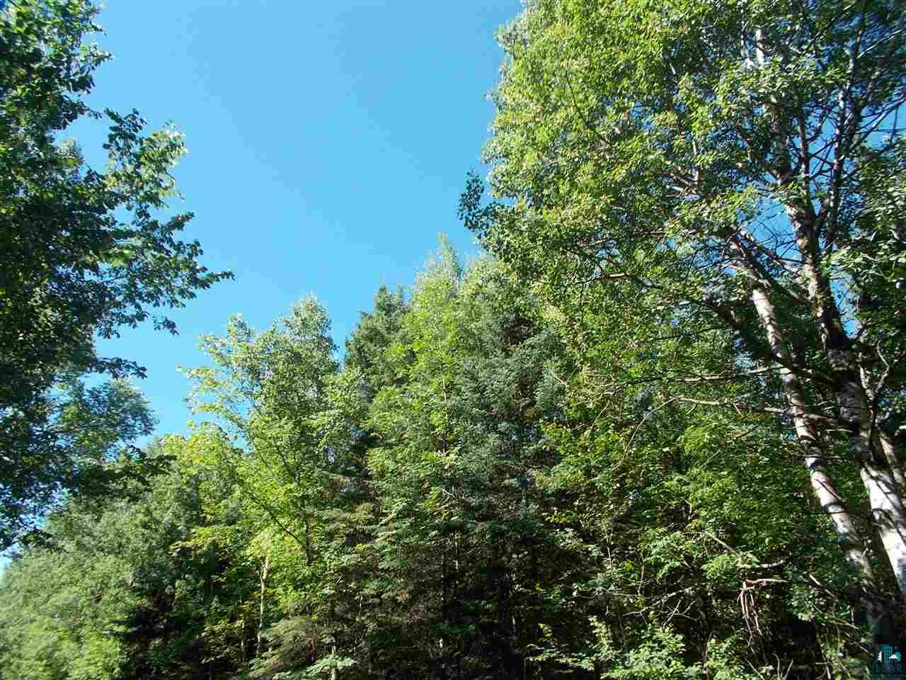 Xxx Stewart Road Solon Springs, WI 54873 - Photo 5 of 7