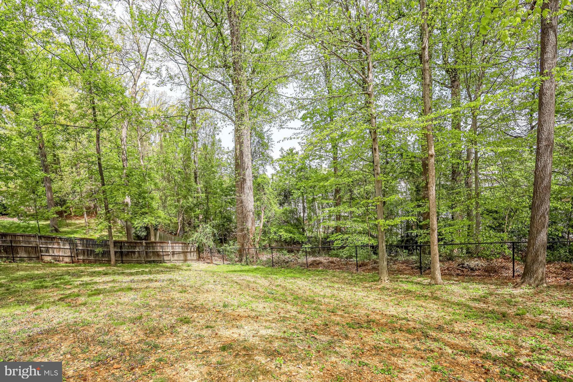 8123 Higham Road Lorton, VA 22079 - Photo 37 of 128 Gallery Image 37