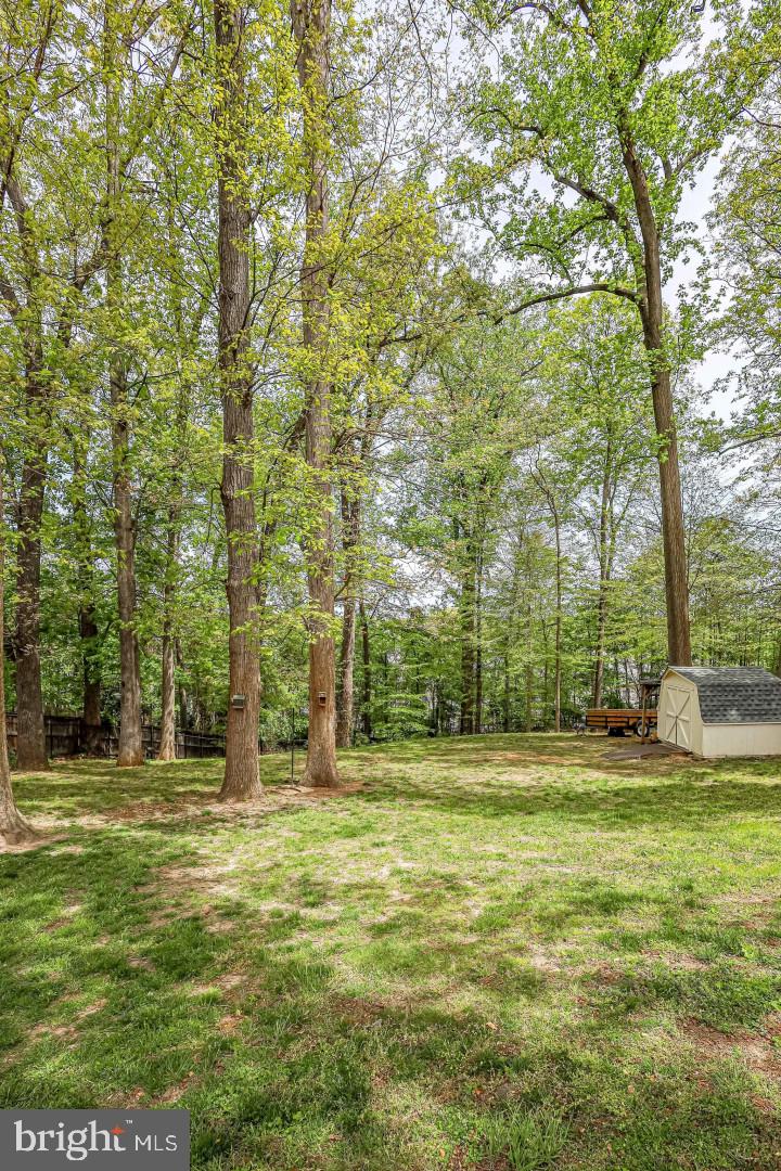 8123 Higham Road Lorton, VA 22079 - Photo 47 of 128 Gallery Image 47
