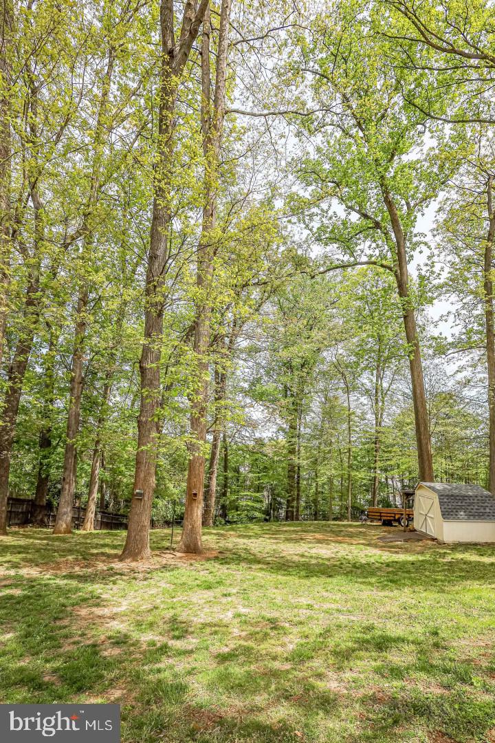 8123 Higham Road Lorton, VA 22079 - Photo 48 of 128 Gallery Image 48