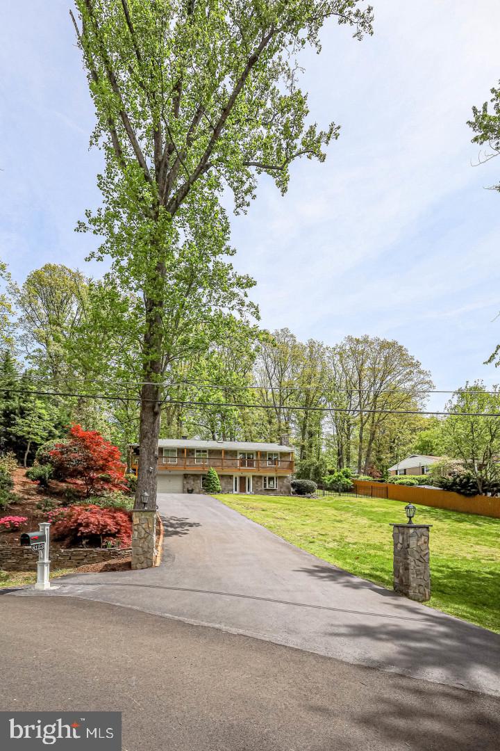 8123 Higham Road Lorton, VA 22079 - Photo 6 of 128 Gallery Image 6