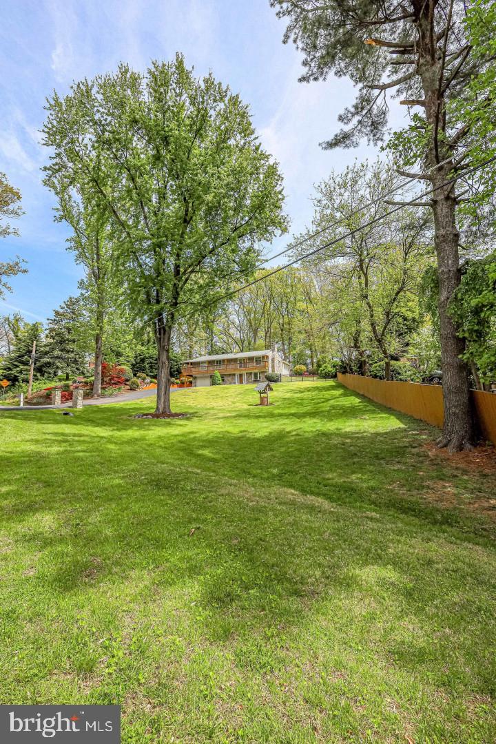 8123 Higham Road Lorton, VA 22079 - Photo 7 of 128 Gallery Image 7