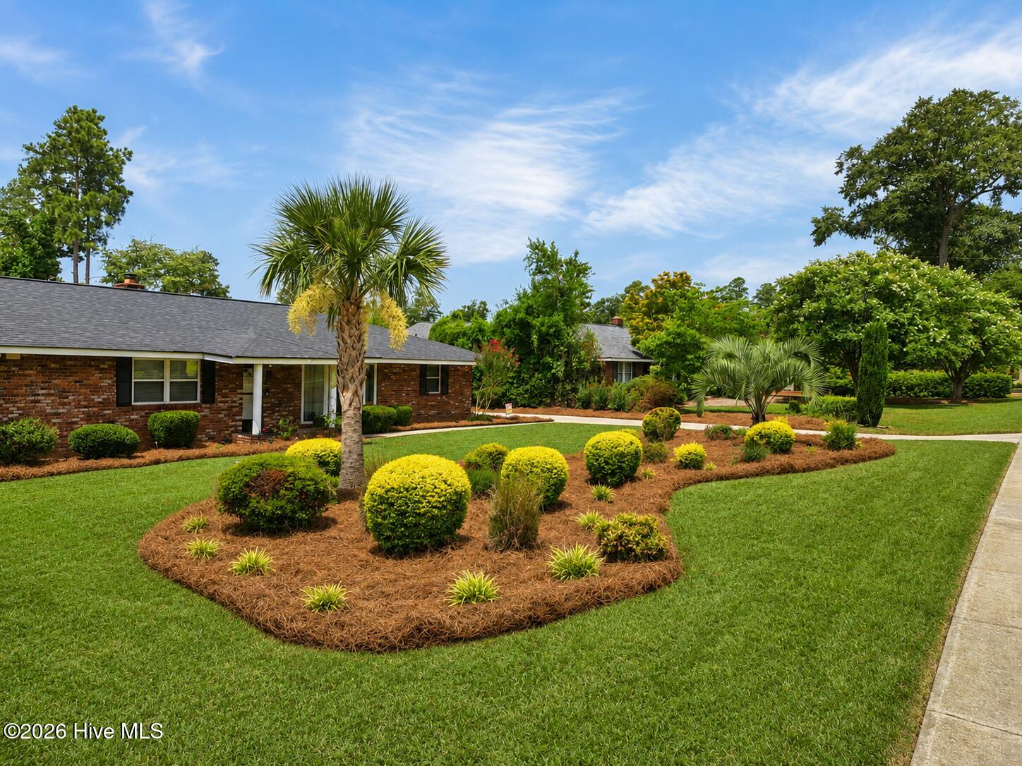 3180 Wheeler Road Augusta, GA 30909 - Photo 2 of 30 New turf Amazing Landscaping
