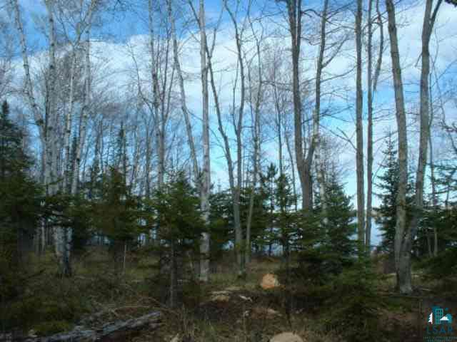 Xxx East Romans Point Road Iron River, WI 54847 - Photo 4 of 9 Gallery Image 4