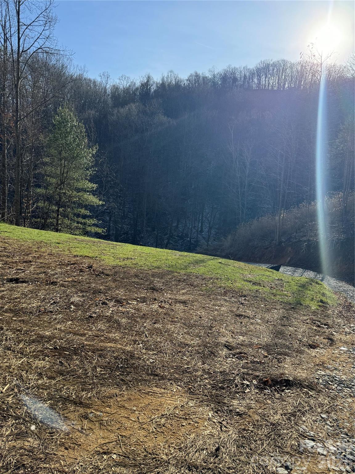 890 Fisher Branch Road Marshall, NC 28753 - Photo 12 of 23 a view of a yard with a tree