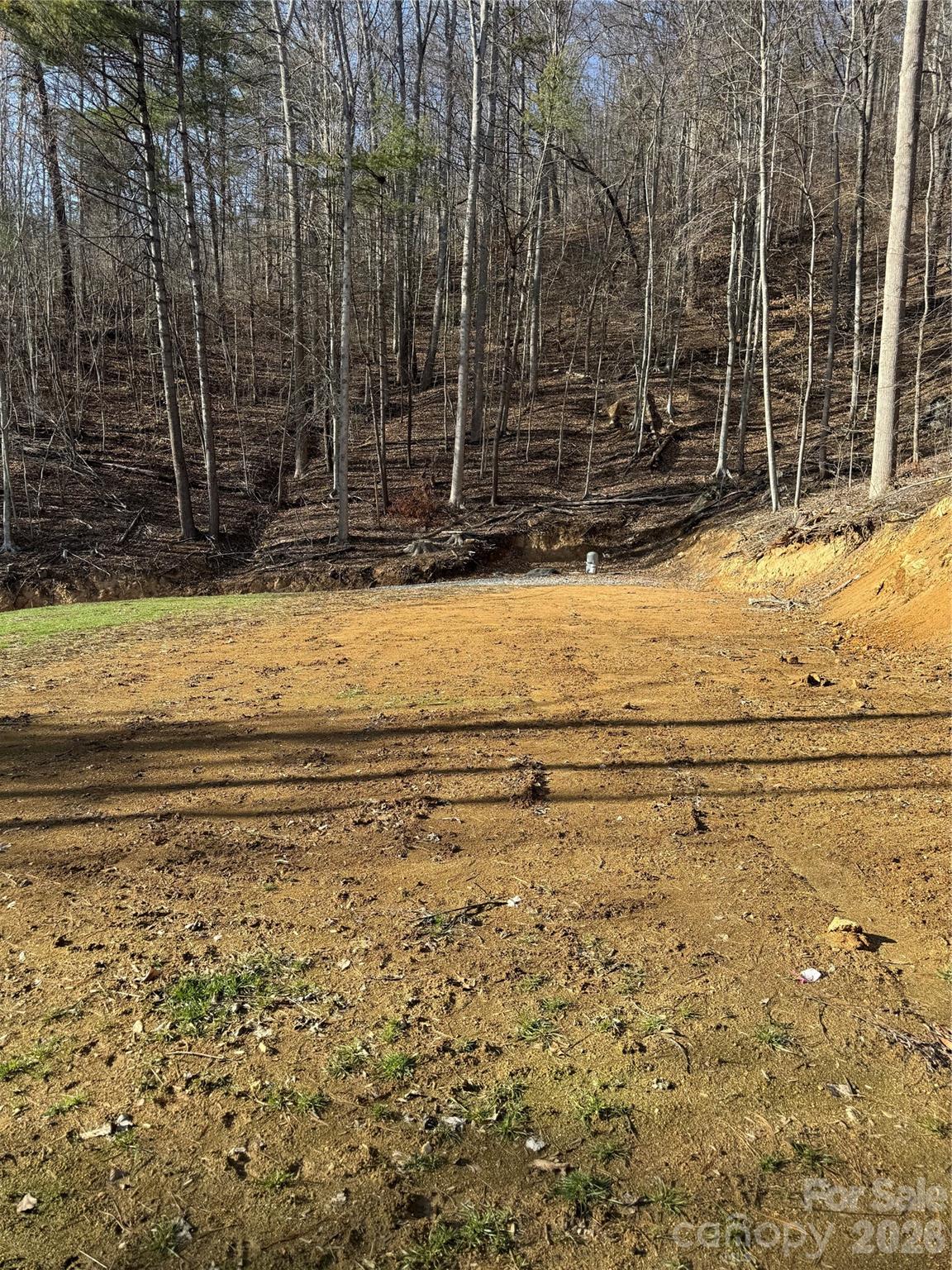 890 Fisher Branch Road Marshall, NC 28753 - Photo 14 of 23 a view of a backyard of the house