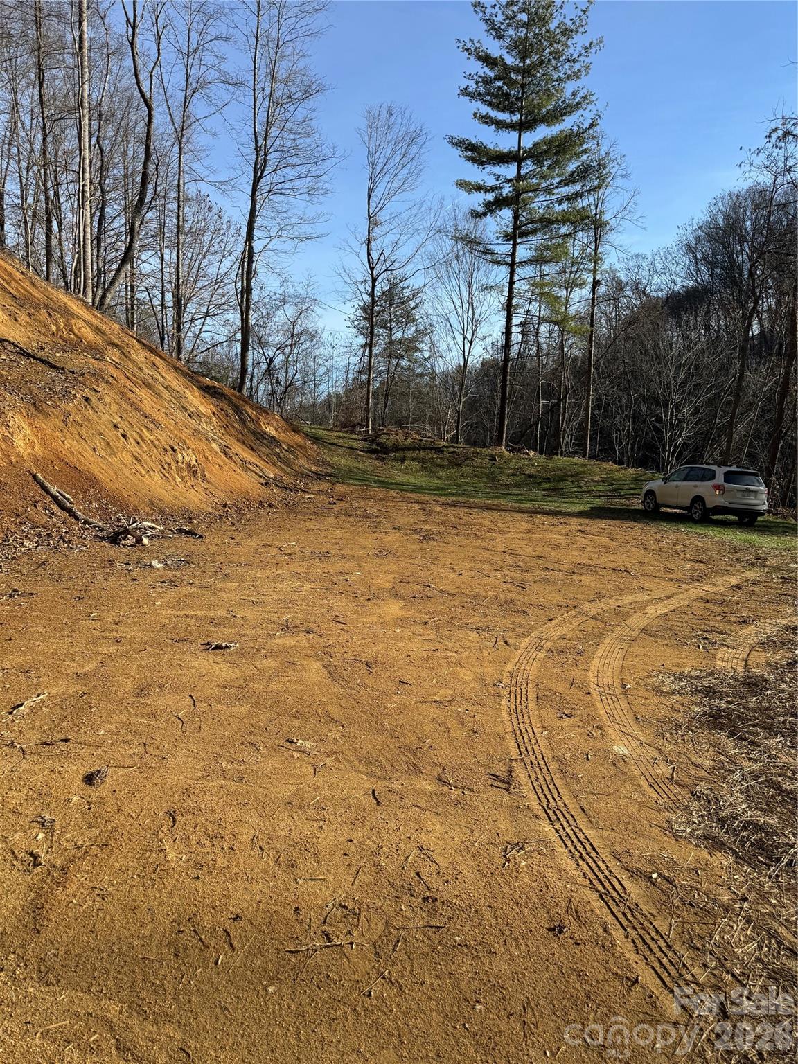 890 Fisher Branch Road Marshall, NC 28753 - Photo 15 of 23 a view of yard with tree and wooden fence
