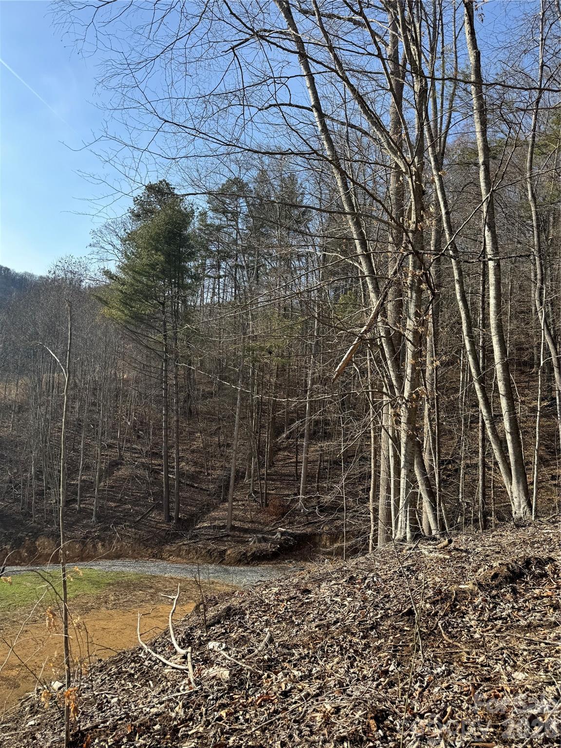 890 Fisher Branch Road Marshall, NC 28753 - Photo 16 of 23 a backyard of a house