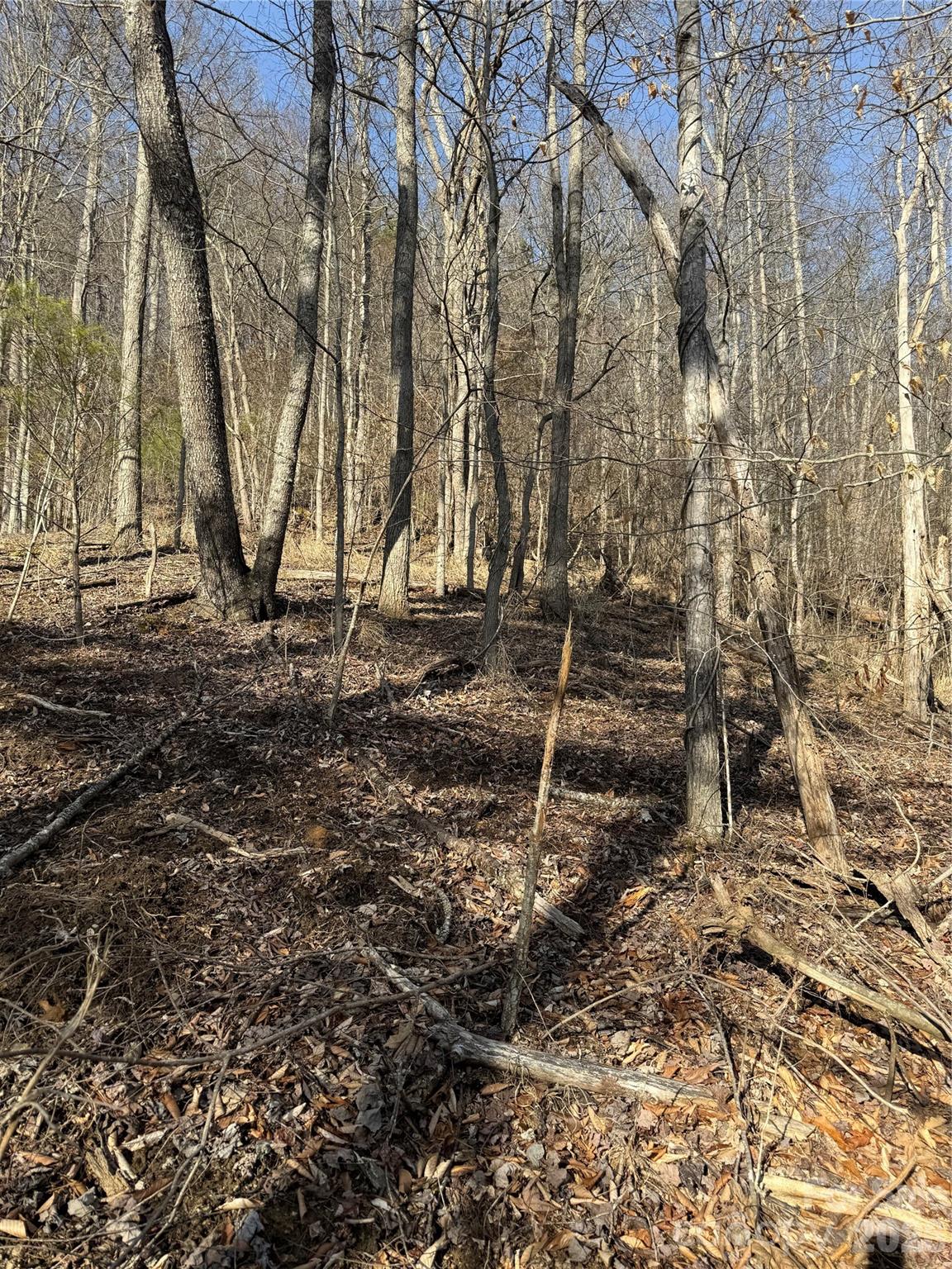 890 Fisher Branch Road Marshall, NC 28753 - Photo 20 of 23 a backyard of a house with lots of green space