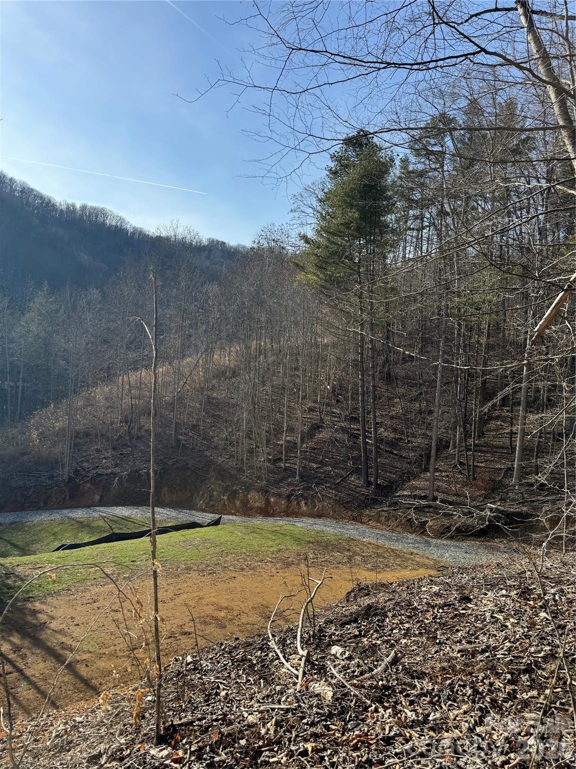 890 Fisher Branch Road Marshall, NC 28753 - Photo 2 of 23 a view of a backyard