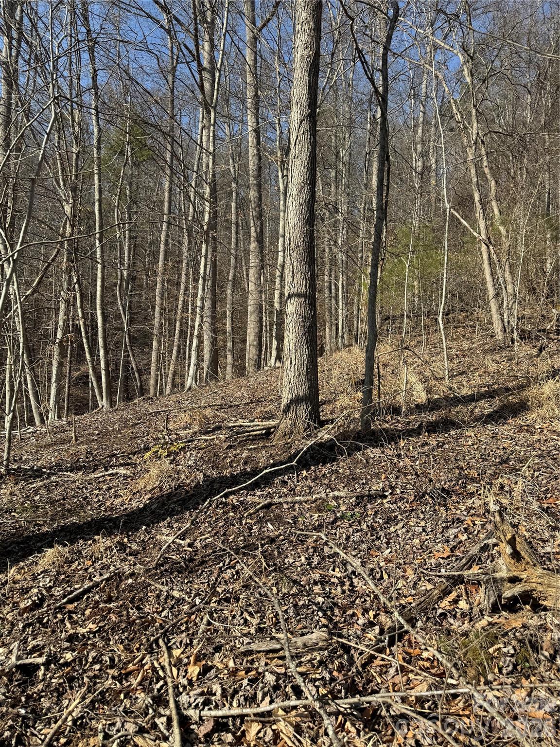 890 Fisher Branch Road Marshall, NC 28753 - Photo 21 of 23 a view of a backyard of the house