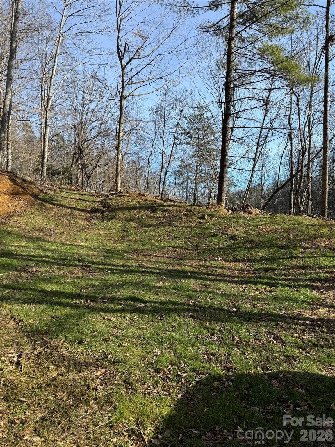 890 Fisher Branch Road Marshall, NC 28753 - Photo 22 of 23 a view of a yard next to a building
