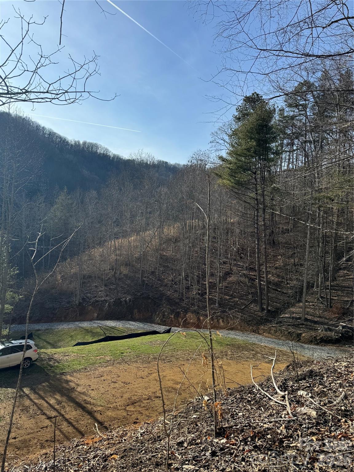 890 Fisher Branch Road Marshall, NC 28753 - Photo 3 of 23 a view of a backyard