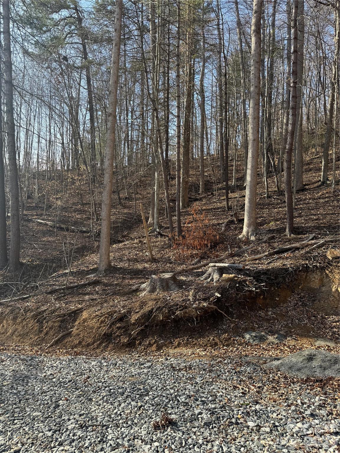 890 Fisher Branch Road Marshall, NC 28753 - Photo 5 of 23 a view of a backyard of the house